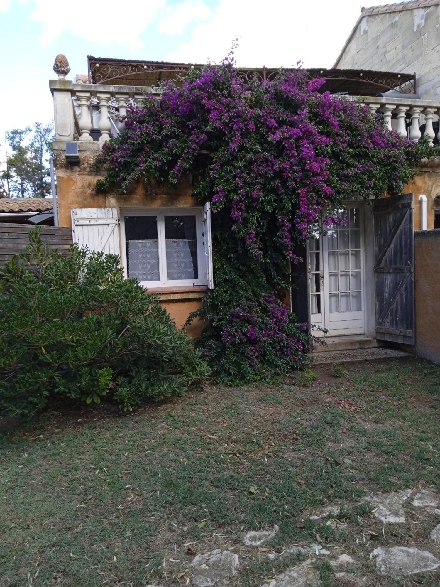 Mas Maurane - Le Bougainvillier Aux Portes D'Arles Apartment Тараскон Екстериор снимка